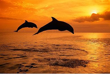 《Dread Delusion》5月登陆Steam 中世纪开放世界RPG