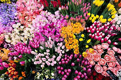 玩家创意平台《战地》门户与《战地2042》同日推出